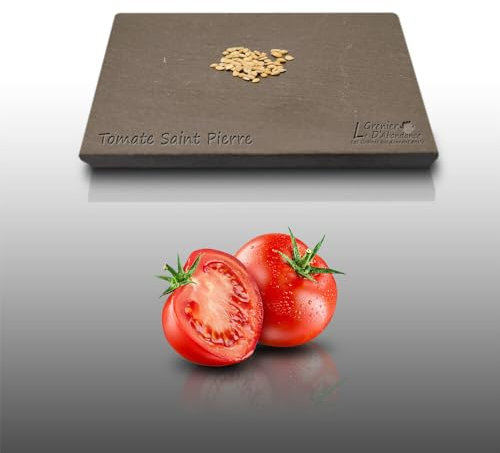 50 graines à semer - Le Grenier d'Abondance -TOMATE Saint Pierre - Solanum Lycopersicum