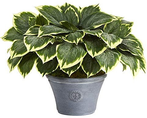 Nearly Natural 23in. Variegated Hosta Artificial Plant in Gray Planter