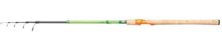 Berkley Flex Trout Teleskop Rute und Rolle Combo - Teleskopierbare Forellenrute, Green