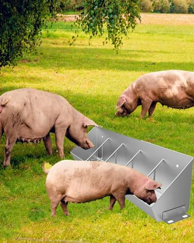 Livestock Feed Trough,Outdoor Pig Feeder and Waterer Bottle, Galvanised Pig Trough for 5 8 10 Pigs, Full Grown Livestock Feeders for Farm Sheep Horses Alpacas(5 Card Slots)