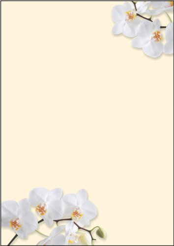 SIGEL DP904 Motiv-PapierWhite Orchid, Briefpapier 90 g, DIN A4, 50 Blatt | DP904, Orchideenmotiv für stilvolle Korrespondenz und kreative Drucke