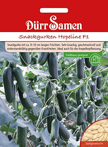 Dürr Samen 4357 Treibgurke Hopeline F1 (Treibgurkensamen)