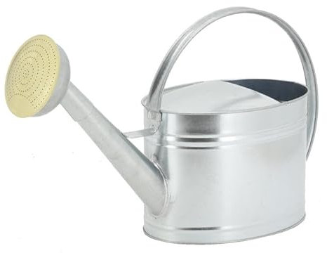 Regadera de metal galvanizado 10 L