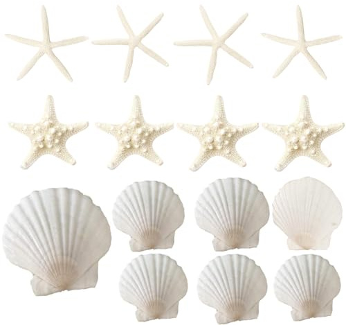 15 PCS 3-4 Inches Large Starfish 2-6 Inch Mixed Natural Scallop Shells Perfect for Wedding Decor Beach Theme Party, Home Decorations, DIY Crafts, Fish Tank