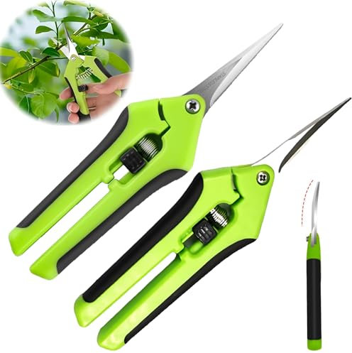 Forbici Potatura mini 2 Pezzi, Forbice Potatura Cesoie Giardinaggio Affilate,Forbici Da Potatura Acciaio Inossidabile Cesoia Da Potatura per Rami Di Piante Bonsai Fiori Raccolta Di Frutta Verdura