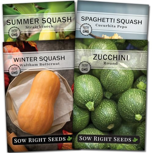 Sow Right Seeds - Squash Seed Collection for Planting - Individual Packets of Straightneck Summer, Round Zucchini, Waltham Butternut and Spaghetti Squash - Non-GMO Heirloom Seeds