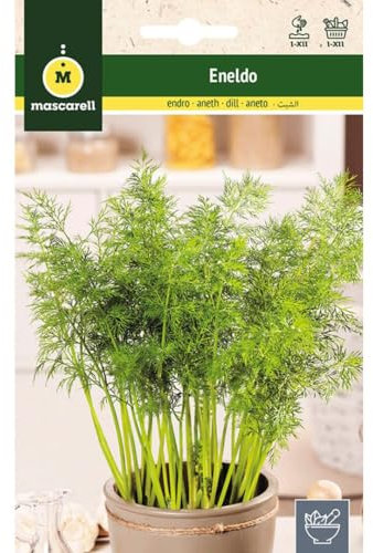 Mascarell Semillas, ENELDO, Semillas de Hierbas Aromáticas para Plantar, Crea tu Propio Huerto en Casa, 10 Gramos