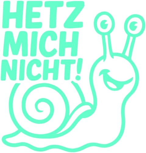Samunshi® Schnecke Hetz mich nicht! als Aufkleber für Fahranfänger Auto Motorrad Helm Fahrrrad Notebook Tablet Autoaufkleber Sticker Motorradaufkleber 15 x 14cm mint