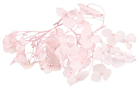Ipetboom Petali Essiccati di Ortensia Rosa 20g Naturale per Decorazioni Matrimonio Eleganti e Bomboniere Fai da Te in Petalo Conservato per Nail Art e Feste