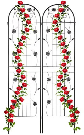 Relaxdays Rankgitter, 2er Set, 200 x 50 x 1,5 cm, Metall, Rankhilfe für Kletterpflanzen, freistehend, zum Stecken, schwarz