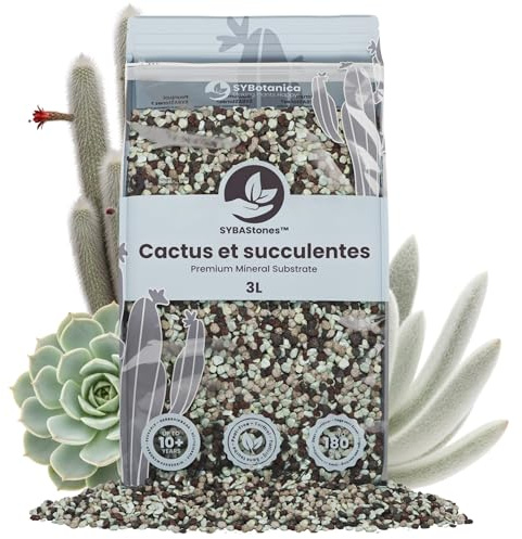 Sybotanica - Cactus et succulentes minéral Mix 3L - Substrat minéral SYBAStones - 100% sans sciarides - Dure des années - ~180 Jours de nutriments - pour Fans de Plantes d’intérieur