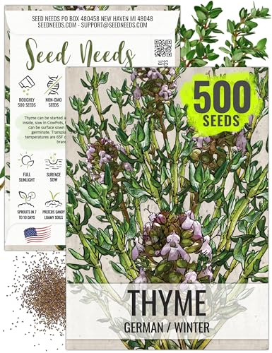Seed Needs Thyme Seeds to Plant Heirloom Non-GMO Indoor Herbs 1 Pack