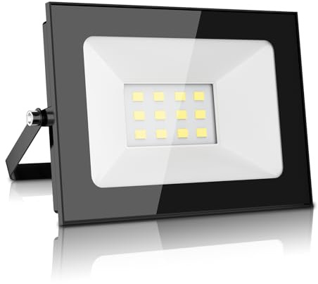 Papasbox 12V 10W LED Projecteur, Projecteur d'Extérieur Super Lumineux 800LM,Blanc Chaud 3200K, Floodlight étanche IP65 pour jardin, cour, patio
