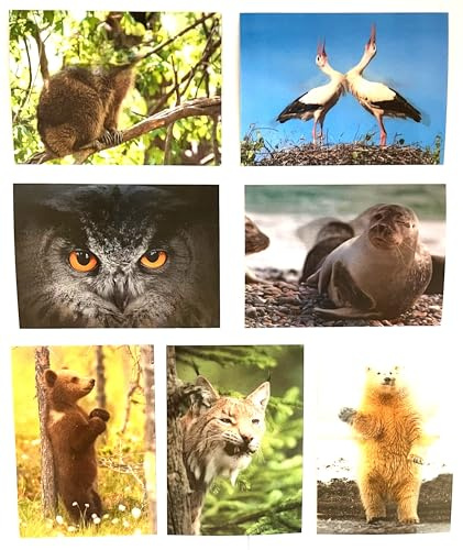 'Set de tarjetas postales de animales Wild Park: 9 x Motivo Tarjetas/cambio imágenes de los animales de Alemania y el alto Norte – Ideal para coleccionistas y Post Crossing