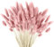 120 pcs de Hierba de la Pampa Seca, Flores secas de Pampas, Pampa Hierba Hierba Cola de Conejo Hierba Boho Decor Super Fluffy for Home Decor, arreglos Decorativos para el hogar Bohemio (Rosa)
