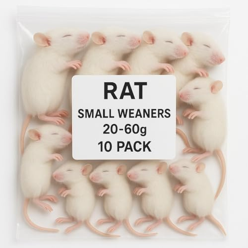SiarFrozen Rats Small Weaners, 10 Pack, Premium Frozen Whole Prey, 20-60g Each, for Reptiles and Birds of Prey, Adult Animal Feed