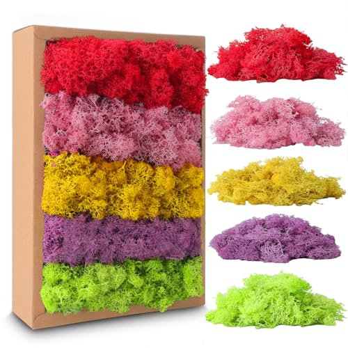 Islandmoos, Moos in 5 versch 200g für Moosbilder, Konserviertes Moos, Moos zum Basteln, Moos Deko, Künstliches Moos, Moos Konserviert, Deko Moos, Bastelmoos, Kunstmoos für Basteln