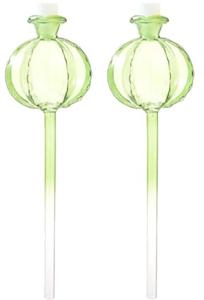 Abaodam Lot de 2 Globes D'arrosage Automatique en Verre Borosilicate Vert de Cactus, Arrosage Facile pour Plantes et Fleurs, pour Jardinage Intérieur et Bonsaï