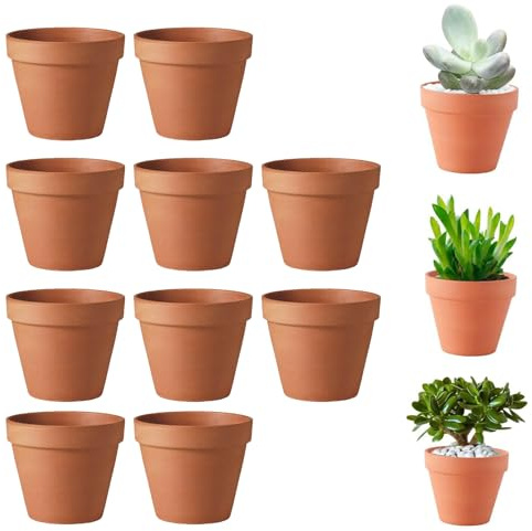 Molyorch 10 pezzi, 5 x 5,5 cm, vaso in terracotta di succulento cactus, per cactus, fiori, piante grasse, ideali per il giardinaggio, il fai da te o regali di nozze (5,5 x 5 cm)