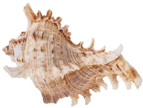 SEWOART Natürliche Blumendekoration Aquarium Landschaftsbau Deko Fischbehälter Pflanzentopf Sicher für Fische Wasserqualität Erhaltend Zufällige Farbe Zufällige Farbe