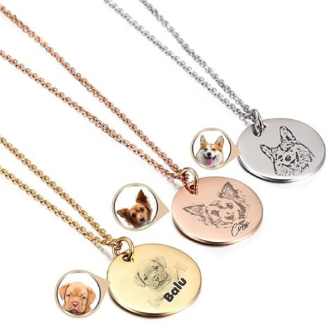Personalisierte Tierkette mit Foto und Namen – Einzigartiges Andenken für Hunde, Katzen, Pferde und mehr in Silber, Roségold und Gold (Silber)