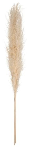 Atmosphera - Lot de 3 Herbes de Pampa Séchées Naturelles - H 109 cm - pour Bouquet, Décoration d'Intérieur, Style Bohème