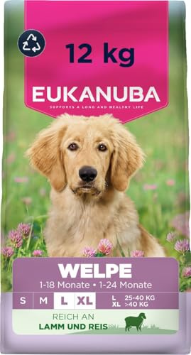 EUKANUBA Cibo secco per Cuccioli con agnello e riso per razze di taglia grande - Alimento secco premium per Cani giovani, 12 kg