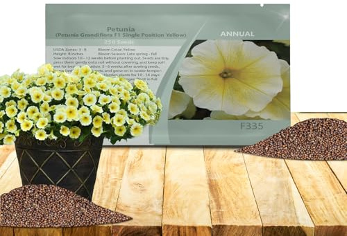 Outsidepride Yellow Petunia Grandiflora Seeds - 250 Pcs. Annual, Compact & Versatile Flower Seeds for Planting Low Growing Vibrant Blooms for Garden Beds, Hanging Baskets & Container Displays