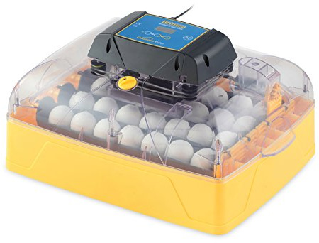Brutmaschine Ovation 28 Eco - mit vollautomatischer Wendung