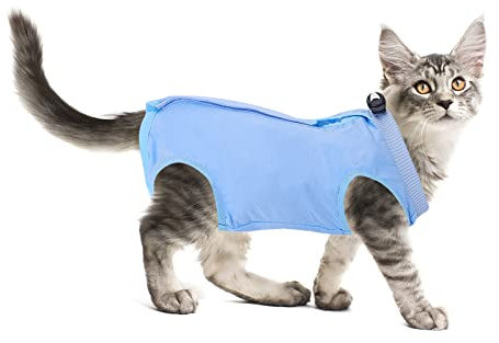 Molain Cat Professioneller Erholungsanzug für Bauchwunden oder Hautkrankheiten nach Operationen E Halsband Alternative für Katzen Anti Lecken Pyjama Anzug (Blau, Größe L)