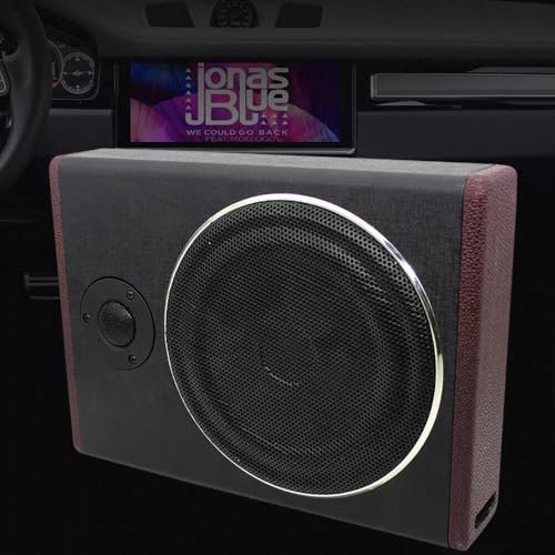 YEITBY Subwoofer de 8 pulgadas ultrafino para coche, bajo el asiento del coche, audio activo, ultrafino, compacto y compacto, instalado debajo del asiento o en el maletero, carcasa de aluminio, color