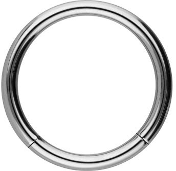 PIERCINGLINE Titan Segmentring | silberfarben | Piercing Ring Septum Helix | Größenauswahl