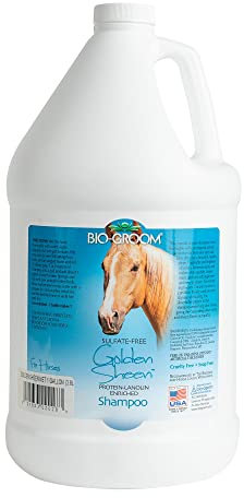 Bio-Groom - Golden Glanz Protein Lanolin Pferde Shampoo - Auf Kokosnussölbasis - Verhindert Trockenheit und Schuppenbildung - Aus 100% nachwachsenden und abbaubaren Quellen - 3.8 L