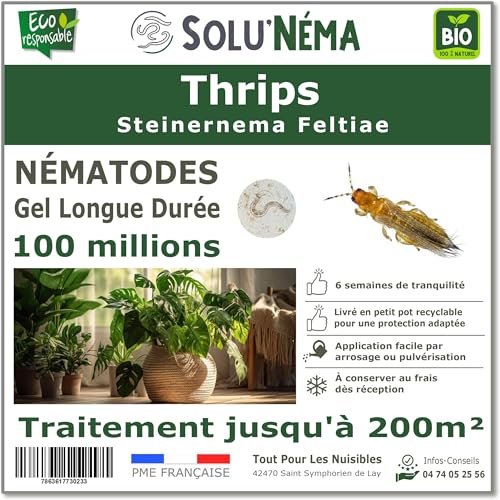 SOLUNEMA - Nématodes Contre les Thrips 100 Millions Longue Durée