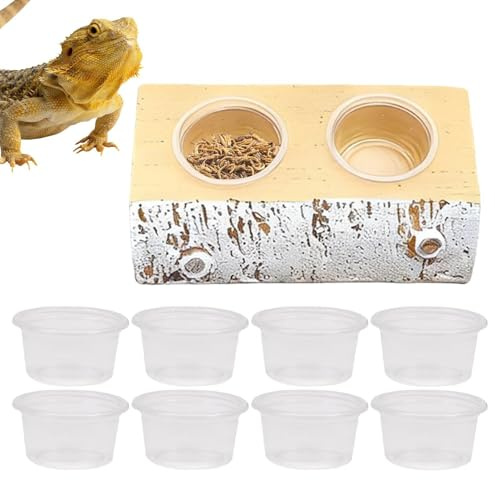 Magnetic Gecko Feeding Ledge Removable Resin Food Dish
