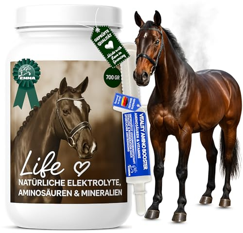 Polvo Electrolítico + Potenciador I Complejo Aminoácidos I Minerales Sales de Sodio Potasio Magnesio I 100% Puro I Energía I Diarrea Sudoración I Minerales Regeneración Caballo 700gr 30ml