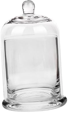 Cloche Portacandele a cupola in vetro con manico superiore per frutta pietre aromatiche torta trasparente, 10 x 10 x 16 cm