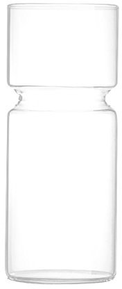 Gazechimp Transparent Verre Vase Rond de Jacithe Pot de Fleur Décoration pour Maison