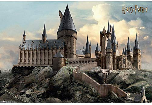 Harry Potter Poster Hogwarts Day, 61x91.5cm