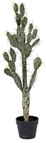 Artificielles.com - Cactus Opuntia ficticia en maceta densa de calidad superior H100cm verde aloe - elige tu altura: H 100 cm - color: Verde aloe