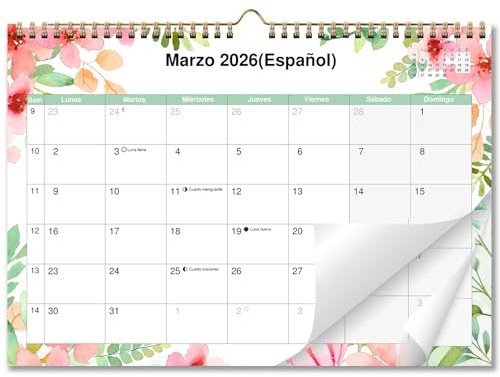 AEYAKA Calendario de pared 2026, calendario mensual colgante con festivos, fases lunares, 29 x 41 cm, en Español