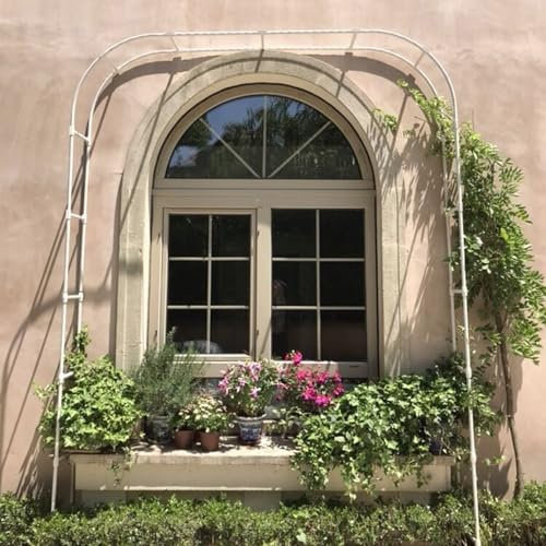 KKTX Arc arborant du Jardin en métal, Arche de Porte de Fleurs de Rose Noire/Blanche Pergola Treillis de Support Plantes d'escaladeWhite,1.2x2.4m