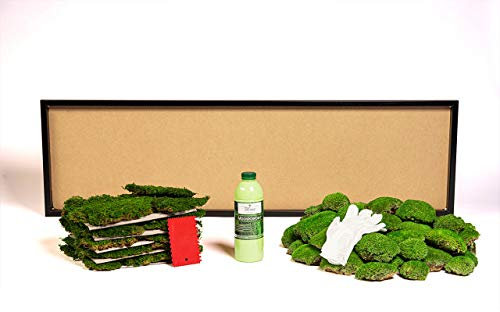 DIY Moosbild selber machen, Wandbilder selber kleben, Moosbilder selbst gestalten Do it yourself Set Moos kleben Wanddeko Deko Wandbild Komplett-Set Holzrahmen (schwarz, 140 x 40)