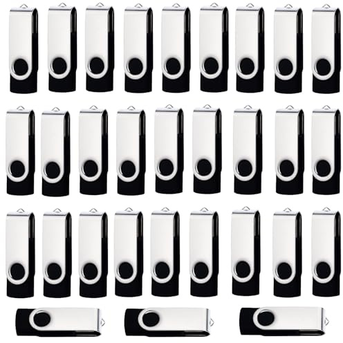 lcwamy 4GB USB Flash Drives 20 Pack Bulk USB Flash Drive Thumb Drive 20 Pack USB2.0 Flash Drive 4GB USB Stick