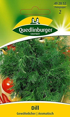 Kräutersamen - Dill Gewöhnlicher von Quedlinburger Saatgut