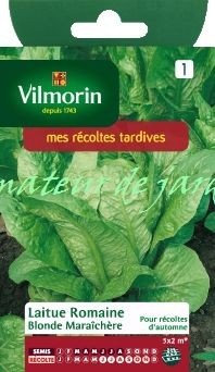 Laitue Romaine Blonde Maraîchère