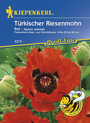 Kiepenkerl 4210 Türkischer Riesenmohn Rot (Riesenmohnsamen)