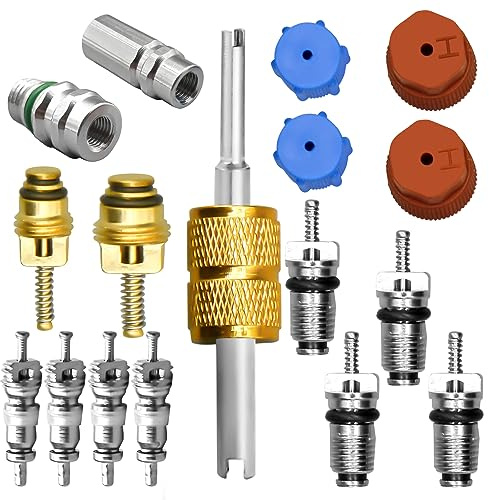 Kit de noyau de valve de climatisation, y compris système de réfrigération A/C R12 et R134a noyau de valve AC Service Port bouchon d'étanchéité outil de retrait de noyau de valve A/C vannes de service