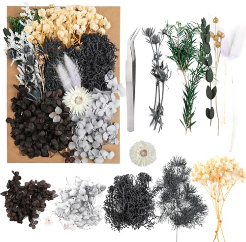 JOFONY Trockenblumen,Getrocknete Blumen,Trockenblumen Set für DIY Scrapbook Zubehör Blumengestecke Blumendekoration Hochzeitsdekoration(Schwarz)