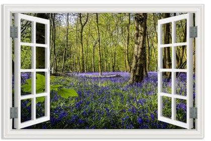 Hau3sh3a leinwandbild fensterblick fenster natur,Lila Blumenbild Hyazinthe im Wald,Bild auf Leinwand Blick aus Dem Fenster,Wanddeko Schlafzimmer Bilder45x30cm(18x12in) Rahmenlos